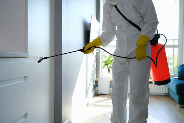Best Residential Mold Removal  in Watertown, WI