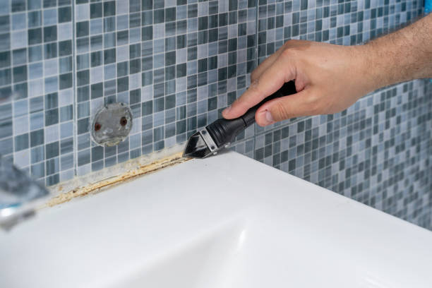 Best Commercial Mold Removal  in Watertown, WI