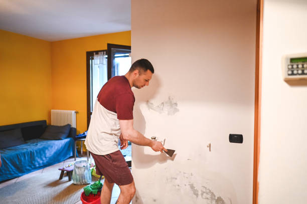 Mold Removal and Inspection in Watertown, WI