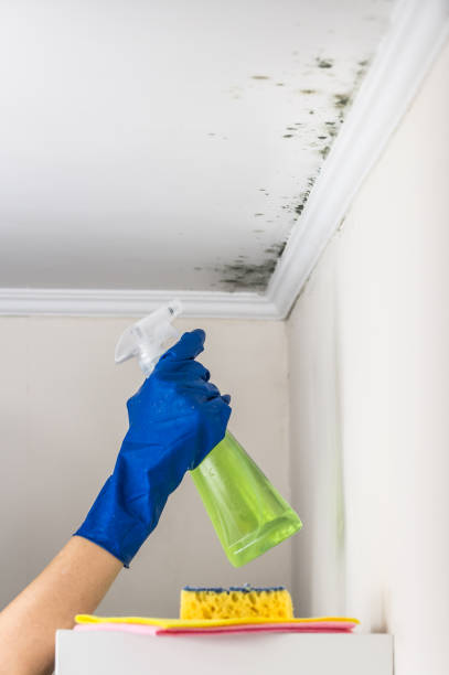 Best Mold Testing  in Watertown, WI